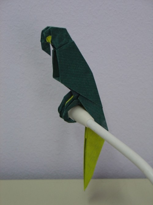 Parrot Попугай