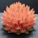Lotus Лотос